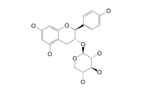 ARTHROMERIN-A;AFZELECHIN-3-O-BETA-D-XYLOPYRANOSIDE