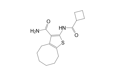 2-[(cyclobutylcarbonyl)amino]-4,5,6,7,8,9-hexahydrocycloocta[b]thiophene-3-carboxamide
