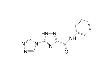 1H-1,2,4-Triazole-3-carboxamide, N-phenyl-5-(4H-1,2,4-triazol-4-yl)-