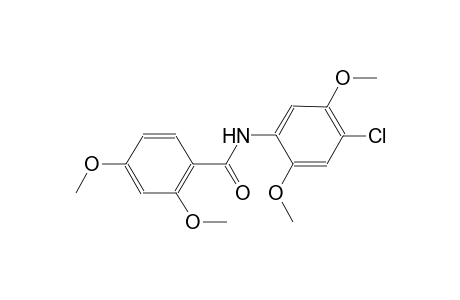 N-(4-chloro-2,5-dimethoxyphenyl)-2,4-dimethoxybenzamide