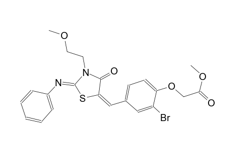 methyl (2-bromo-4-{(E)-[(2Z)-3-(2-methoxyethyl)-4-oxo-2-(phenylimino)-1,3-thiazolidin-5-ylidene]methyl}phenoxy)acetate