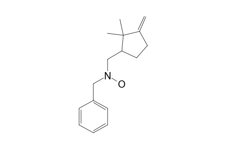 N-(benzyl)-N-[(2,2-dimethyl-3-methylene-cyclopentyl)methyl]hydroxylamine