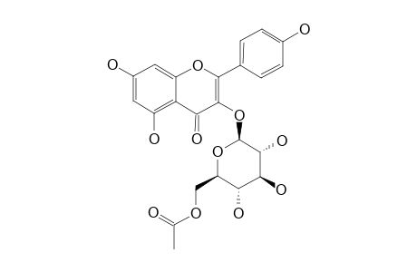 KAEMPFEROL-3-O-(6''-ACETYL)-BETA-GLUCOPYRANOSIDE