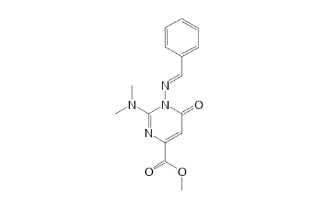1-(benzylideneamino)-2-dimethylamino-6-keto-pyrimidine-4-carboxylic acid methyl ester