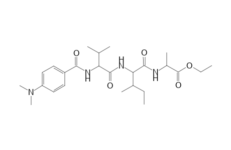 p-Dimethylaminobenzoylvalylisoleacylalanine ethyl ester