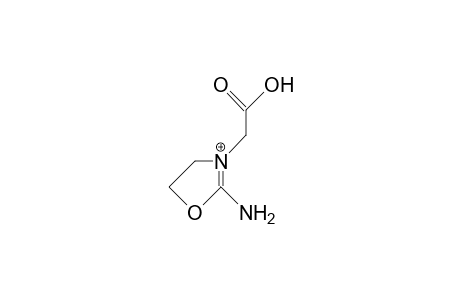 1-Carboxymethyl-2-amino-oxazole cation