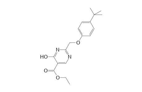 Ethyl 2-[(4-tert-butylphenoxy)methyl]-4-hydroxy-5-pyrimidinecarboxylate