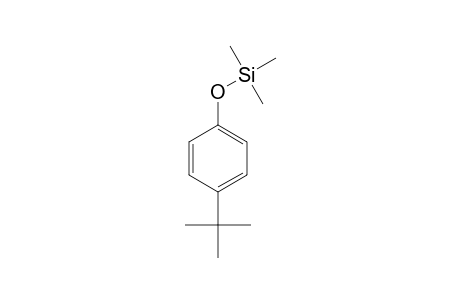 (4-tert-Butylphenoxy)(trimethyl)silane