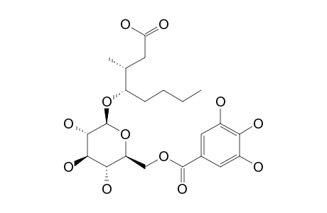 (3S,4S)-3-METHYL-4-HYDROXYOCTANOIC-ACID-6'-O-GALLATE-3-O-BETA-D-GLUCOPYRANOSIDE