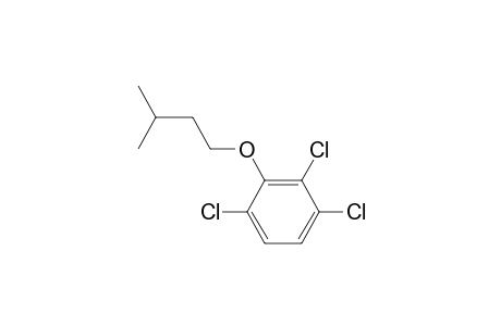 2,3,6-Trichlorophenyl 3-methylbutyl ether