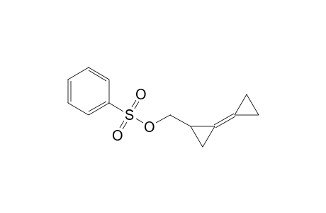 [(Benzenesulfonyl)oxymethyl]bicyclopropylidene