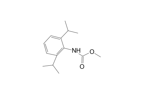 Carbamic acid, [2,6-bis(1-methylethyl)phenyl]-, methyl ester