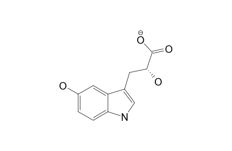 HYRTIOERECTINE_C;5-HYDROXY-3-(2-HYDROXYPROPIONATE)-1-H-INDOLE
