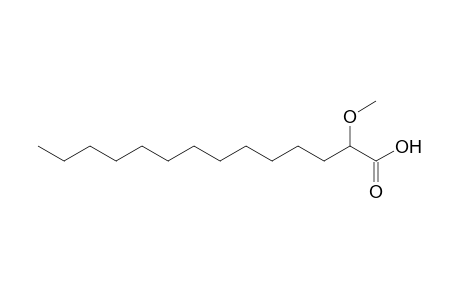 2-Methoxymyristic acid