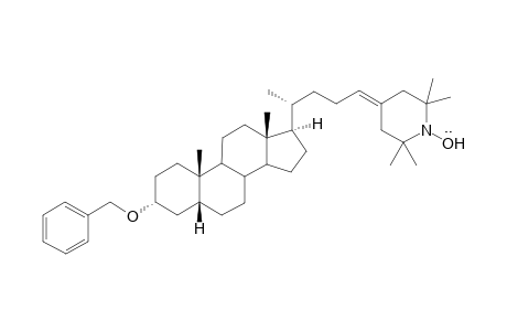 4'-(3.alpha.-Benzyloxychol-24-en)-2',2',6',6'-tetramethylpiperidine-1'-oxyl