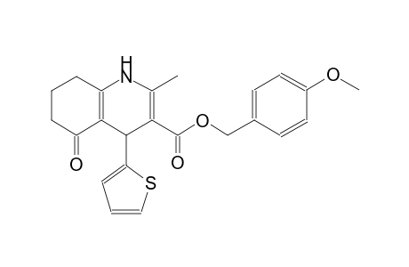 (4-methoxyphenyl)methyl 2-methyl-5-oxidanylidene-4-thiophen-2-yl-4,6,7,8-tetrahydro-1H-quinoline-3-carboxylate