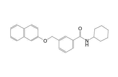 N-cyclohexyl-3-[(2-naphthyloxy)methyl]benzamide