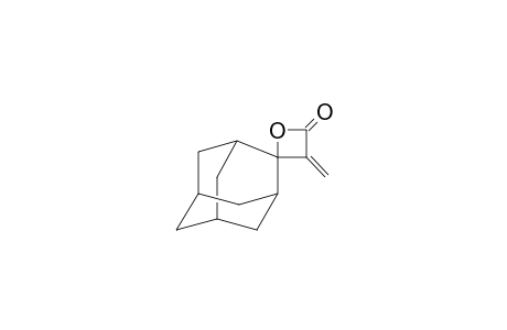 Spiro[tricyclo[3.3.1.1(3,7)]decane-2,2'-oxetan]-4'-one, 3'-methylene-