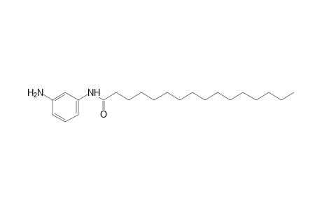 3'-aminohexadecananilide