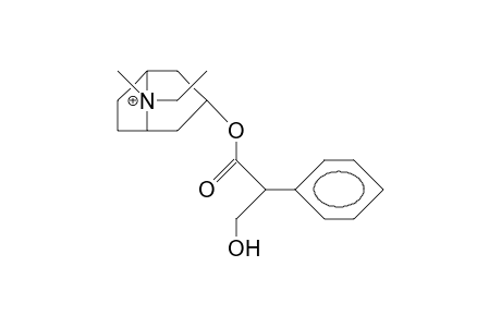 N-Ethyl-atropinium cation (syn-ethyl)