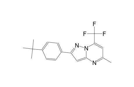 pyrazolo[1,5-a]pyrimidine, 2-[4-(1,1-dimethylethyl)phenyl]-5-methyl-7-(trifluoromethyl)-
