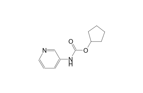 cyclopentyl 3-pyridinylcarbamate