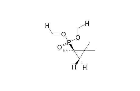 1,2,2-TRIMETHYL-1-DIMETHOXYPHOSPHINYLCYCLOPROPANE