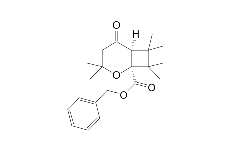 Benzyl-(1S,6S)-3,3,7,7,8,8-hexamethyl-5-oxo-2-oxabicyclo[4.2.0]octane-1-carboxylate