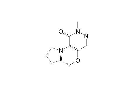 1-METHYL-10-OXO-5,5A,6,7-TETRAHYDRO-2H,8H-PYRIDAZINO-[4,5-B]-PYRROLO-[1,2-D]-[1,4]-OXAZINE