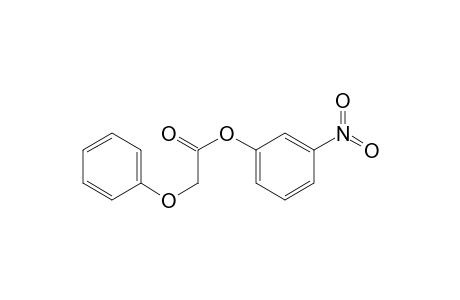 Acetic acid, phenoxy-, 3-nitrophenyl ester