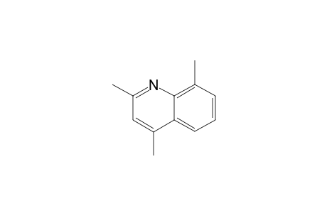 2,4,8-Trimethylquinoline