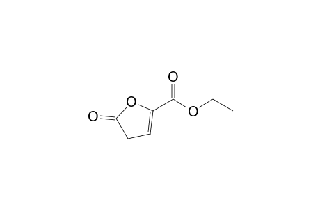 Ethyl 2-oxodihydrofuran-5-carboxylate