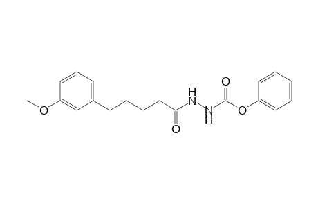 N-[5-(3-methoxyphenyl)pentanoylamino]carbamic acid phenyl ester