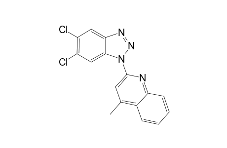 2-(5,6-dichloro-1H-benzo[d][1,2,3]triazol-1-yl)-4-methylquinoline