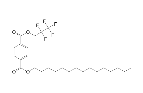 Terephthalic acid, pentadecyl 2,2,3,3,3-pentafluoropropyl ester