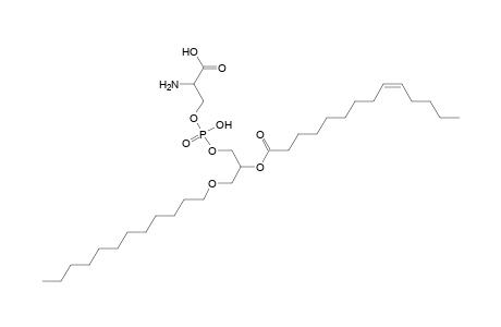 PS O-12:0_14:1