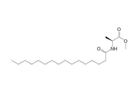 (S)-N-(Hexadecanoyl)alanine Methyl Ester