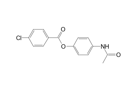 4-(Acetylamino)phenyl 4-chlorobenzoate