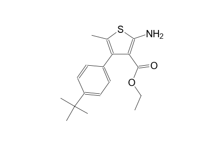 ethyl 2-amino-4-(4-tert-butylphenyl)-5-methyl-3-thiophenecarboxylate