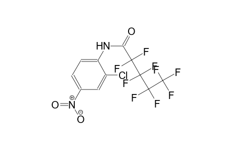 N-(2-chloro-4-nitrophenyl)-2,2,3,3,4,4,5,5,5-nonafluoropentanamide