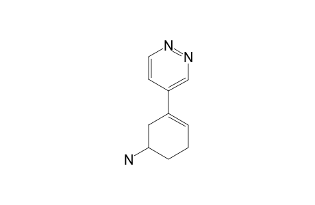 3-PYRIDAZIN-4-YL-CYCLOHEX-3-ENYLAMINE