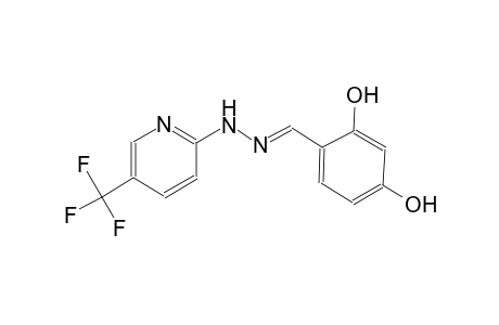 2,4-dihydroxybenzaldehyde [5-(trifluoromethyl)-2-pyridinyl]hydrazone