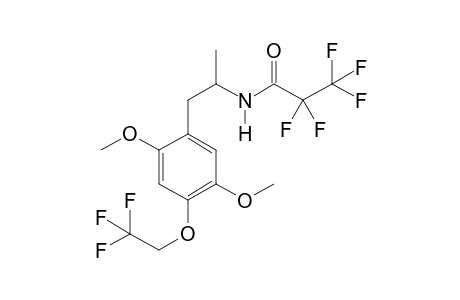 MTFEM PFP