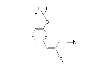 4-(3-Trifluoromethoxyphenyl)-3-cyano-but-3-enenitrile