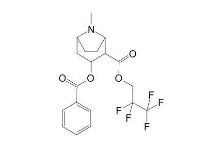 Cocaine-M (benzoylecgonine) PFP