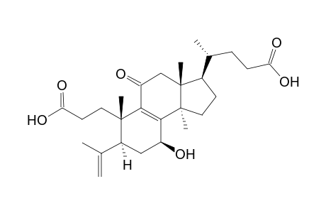 Fornicatins B [7.beta.-hydroxy-11-oxo-3,4-seco-25,26,27-trinorlanosta-4(28),8-dien-3,24-dioic acid]