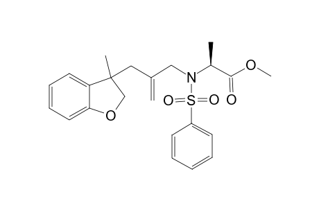 3-Methyl-3-[3-N-(phenylsulfonyl)-N-(1-methoxycarbonylethyl)amino-2-methylenepropyl]-2,3-dihydrobenzofuran