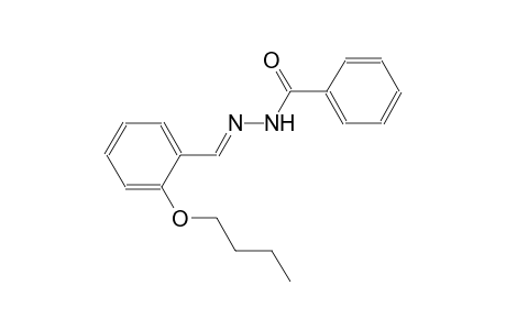 benzoic acid, 2-[(E)-(2-butoxyphenyl)methylidene]hydrazide