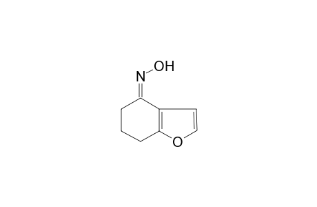 (4Z)-6,7-Dihydro-1-benzofuran-4(5H)-one oxime