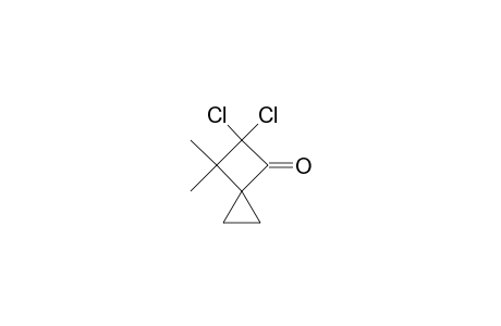 5,5-Dichloro-6,6-dimethylspiro[2.3]hexan-4-one
